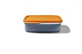 Tupperware to Go Lunchbox 550 ml blau - orange mit Trennwand Clevere Pause Schule Jung