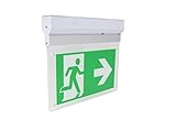 Notleuchte Notausgang Fluchtwegleuchte Innen Manuelletest Funktion LED mit Akku, 300x50x230mm für Wand- u. Deckenmontage | Beleuchtetes LED Notausgangsschild Rettungszeichenleuchte Gemäß DIN