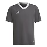 adidas Unisex Kinder Entrada 22 Jersey T-Shirt, Team Grey Four, 11-12 Y