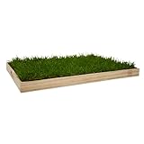 UNUS Katzengras 60x40cm inklusive Holztablett Naturfarben fertig gewachsen echtes Gras Katzenwiese für drinnen und drauß