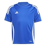 adidas Unisex Kinder Tiro 24 Trikot, Team königsblau/weiß, S