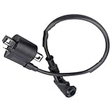 Buaak Zündspule für CG125, 150CC, 200CC, 250CC ATV, Roller, Moped, Go-Kart mit Abzieher (Schwarz)
