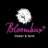 !!WELTNEUHEIT!! Bloombux® – flower & form by INKARHO® 25-30 cm breit im 2 L
