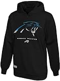 NFL Youth 8-20 Touchdown Team Color Performance Primary Logo Pullover Hoodie, Carolina Panthers, 14-16