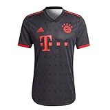 Adidas Bayern München Authentic Third Jersey 2022/2023, grau (gris chiné 14), M