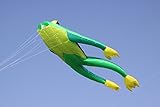 Wolkenstürmer® Fritz The Frog - Grüner Froschdrachen Einleiner Drachen ohne Gestänge für Einsteiger - 3D Drachen mit Spule & Polyesterschnur auf Sp