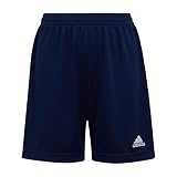 adidas Unisex Kinder Entrada 22 Shorts, Team Navy Blue 2, 13-14 Y