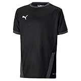 PUMA Jungen Teamgoal 23 Jersey Jr T-shirt, Puma Black-asphalt, 164 EU