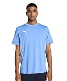 PUMA teamGOAL Matchday Jersey