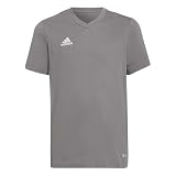 Adidas Unisex Kinder Entrada 22 Tee, Team Grey Four, 13-14 Y