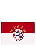 FC Bayern München Fahne Logo Rot-Weiß