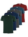 ALPIDEX Herren T-Shirts 5er Set Rundhals 100% Baumwolle Einfarbig Shirts Basic Shirt Kurzarm S M L XL XXL 3XL 4XL 5XL, Größe:L, Farbe:E