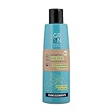 GRN shades of Nature [GRÜN] Biokosmetik Shampoo Anti-Fett - Meersalz & Bio-Zitronenmelisse - für schnell fettendes Haar - vegan, 250