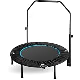 LIFERUN Indoor-Trampolin Ø101cm,Faltbares Fitness-Trampolin,Trampolin für Jumping Fitness,Tragfähigkeit 150 kg,Verstellbare Handlaufhöhe,Ausdauertraining,Verschiedene Personengruppen,B