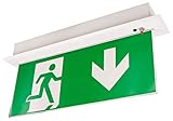 McShine - LED Fluchtwegleuchte I FL-250 I IP20 I Exit Schild 230V I Notausgangsschild beleuchtet LED, mit Akku bei Stromausfall Deckenmontag