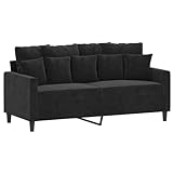 vidaXL Sofa 2-Sitzer, Loungesofa Couch mit Armlehnen Rückenkissen, Wohnzimmersofa Designsofa Metallgestell, Sitzmöbel Zweisitzer, Schwarz S