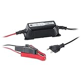 ANSMANN Autobatterie Ladegerät ALCT 6-24/2 - Vollautomatisches Batterieladegerät für Autobatterien & Bleiakkus mit 6V, 12V & 24V / 2A - Erhaltungsladegerät ideal für PKW, Motorrad, B
