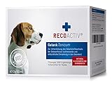 RECOACTIV Gelenk Tonicum für Hunde - flüssige Gelenktablette zur Unterstützung bei Osteoarthritis (schmerzhafte, entzündliche Prozesse), mit Grünlippmuschel, Gag, MSM & Teufelskralle, 3 x 90
