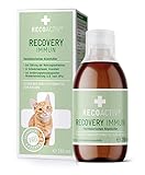 RECOACTIV Recovery Immun für Katzen, hochkalorisches Diät-Alleinfuttermittel zur Gewichtszunahme und ernährungsphysiologischen Wiederherstellung, bei Mangelernährung und hohem Energiebedarf, 280