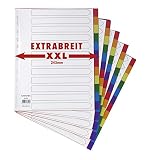 5er Set XXL 12-teiliges Register/Trennblätter extra breit aus buntem stabilem PP, DIN A4+ mit Deckblatt aus stabilem Papier zum Beschriften. Trenn-Blätter überbreit für die Ordner-Organisation im Bü