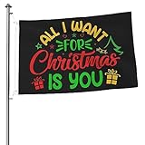 Flagge Alles, Was Ich Mir Zu Weihnachten Wünsche, Sind Weihnachtszitate Von Ihnen Pride Flag Draußen Banner Uv-Beständig Premium Flagge Für Hauswanddekoration, Bauernhof, Party, 90X150C