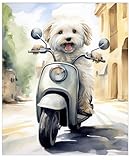 Lustiger Hund reitet Moped 27,9 x 35,6 cm ungerahmt Wandkunstdruck – niedlicher fröhlicher Tierdruck und lustiger Motorroller-Humor Wandkunstdruck für lustige Dekoration, ideal für Büro, Badezimmer,