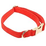 TOBBOMEY Hundehalsband Kragen Dackel Stahlkette bellen Platte rolf zuckowski Weihnachten weinachts gutl Haustierzubehör katzenhalsbänder Halsband für Hund Halsschmuck für Haustiere T