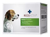 RECOACTIV Immun Tonicum für Hunde, 3 x 90 ml, Diät-Ergänzungsfuttermittel zur Immununterstützung und Vorbeugung bei Mangelerscheinungen, wirkungsvoller diätischer Appetitanreg
