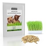 Naturlie XXL 200g Premium Katzengras Samen Set: Saatgut für 80 Töpfe fertiges Katzengras - Saatgut für eine sanfte/weiche Katzenwiese - Premium Saatgut für D