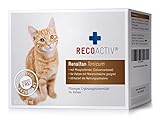 RECOACTIV Renaltan Tonicum für Katzen, 3 x 90 ml, mit Phosphatbinder zur Reduktion der Phosphataufnahme aus der Nahrung und Unterstützung der Nierenfunktion, Ergänzung