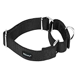 Mikivery marraht EIN hundehalsband mit verschlafenem farbenprächtigen metallhalsband für Haustiere eignet Sich für kleine mittelgroße und groß
