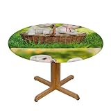 Runde Tischdecke, elastische Stretch-Tischdecke für Esszimmer, Küche, Partys, passend für 101,6–111,8 cm,Zwei Hunde in einem Korb Bedruck