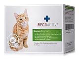 RECOACTIV Immun Tonicum für Katzen, Appetit anregendes Diät-Ergänzungsfuttermittel bei Untergewicht, Mangelerscheinungen, gestörter Nahrungsaufnahme und in der Rekonvaleszenz, 3 x 90