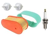 oxoxo Ersatz Oval Air Filter Kartusche Vorfilter Kraftstofffilter Zündkerze für Briggs & Stratton 795066, 796254, 5419 DOV 700 Serie M