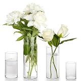 Winter Shore Durchsichtige Vase Glas [4er-Pack] - Glasvase Zylinder in 4 Größen - Hohes Pflanzen-, Blumen-, Pampasgras- & Kerzenhalter Glas - Deko-Vasen Glas für Tafelaufsatz, Party, Zuhause, H