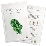 Grünkohl Samen - Hochwertige Gemüse Samen für ca. 200 Pflanzen im Gemüsegarten - Samenfestes Saatgut in Samentütchen für die Anzucht Zuhause, auf dem Balkon oder im G