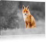 prachtvoller Fuchs schwarz/weiß Format: 100x70 auf Leinwand, XXL riesige Bilder fertig gerahmt mit Keilrahmen, Kunstdruck auf Wandbild mit Rahmen, günstiger als Gemälde oder Ölbild, kein Poster oder Plak