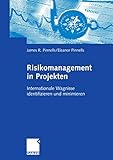 Risikomanagement in Projekten: Internationale Wag
