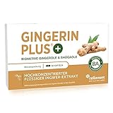 Ingwer Kapseln - Bio Ingwer-Extrakt - flüssig - Gingerol & Shogaol hochdosiert - pharmazeutische Qualität - 60 Stück