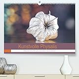 Kunstvolle Physalis-Kleine Frucht von großer Faszination (hochwertiger Premium Wandkalender 2024 DIN A2 quer), Kunstdruck in Hochg