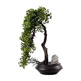 LXCYC-260 Pflanzen Künstlich Künstlicher Bonsai-Baum aus Zedernholz im japanischen Stil mit Keramiktopf, 25,5 Zoll, grün Künstlicher Bonsai B