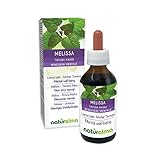 Melisse oder Zitronenmelisse (Melissa officinalis) Blätter Alkoholfreier Urtinktur Naturalma - Flüssig-Extrakt Tropfen 120 ml - Nahrungsergänzungsmittel - Veg