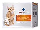 RECOACTIV Nieren Tonicum für Katzen, bei Anzeichen Einer Nierenfunktionsstörung, in der Rekonvaleszenz und zur Prophylaxe. Hochwertiges Protein, Appetit anregendes Ergänzungsfuttermittel 3 x 90