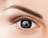 Kontaktlinsen - Schwarz Monatslinsen ohne Stärke – Natürliche Schwarz Kontaktlinsen farbig 2 Stück Farblinsen + Linsenbehälter (0.0 Dioptrien,DODO Schwarz)