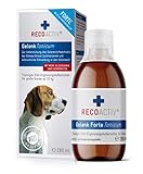 RECOACTIV Gelenk Tonicum Forte für Hunde, 1 x 280 ml, Diät-Ergänzungsfuttermittel bei degenerativen Gelenkerkrankungen, mit Grünlippmuschel, Glucosamin, Chondroitinsulfat, MSM, Teufelskralle & Omega-3