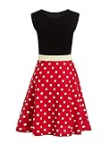 Waruila Damen Deluxe Minnie Kostüm Erwachsene Minnie Prinzessin Polka Dots Cosplay Kleider Mama und Me Kleider Familie Outfits (Rot, XL)