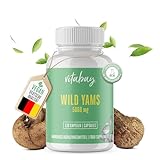 Vitabay Wild Yams Kapseln Hochdosiert 5060 mg Tagesdosis - 120 Kapseln aus Wild Yam Wurzel Extrakt mit 16% Diosgenin - Yamswurzel Kapseln Hochdosiert - Wild Yam Wurzel Kapseln - LABORGEPRÜFT & VEGAN