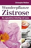 Wunderpflanze Zistrose: Die unglaublichen Heilerfolge mit Cy