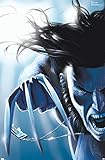 Marvel Comics – Wolverine – Wolverine #11 Wandp