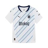 Puma Kinder Trikot Fenerbahçe SK 24/25 Away, weiß - White (White), 164